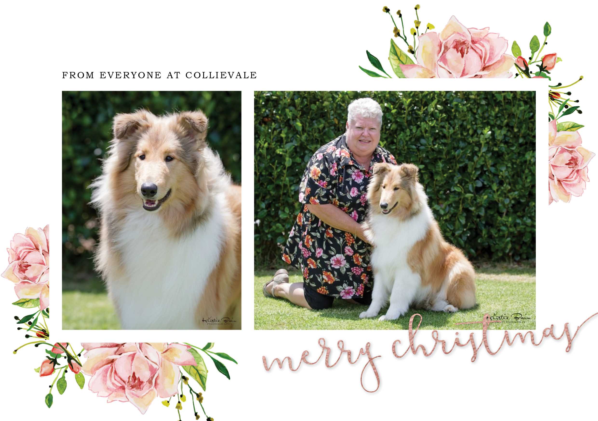 collievale christmas card